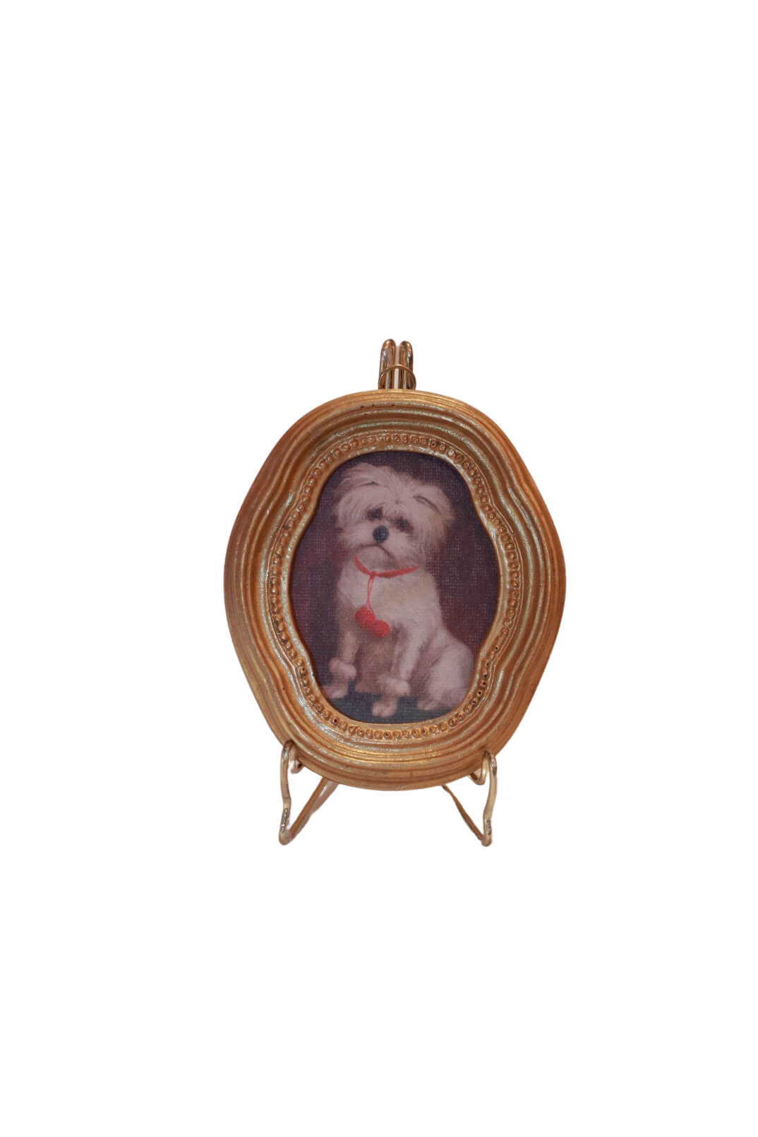 Framed Maltese